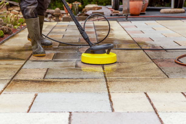 Best Driveway Pressure Washing  in Biggs, CA